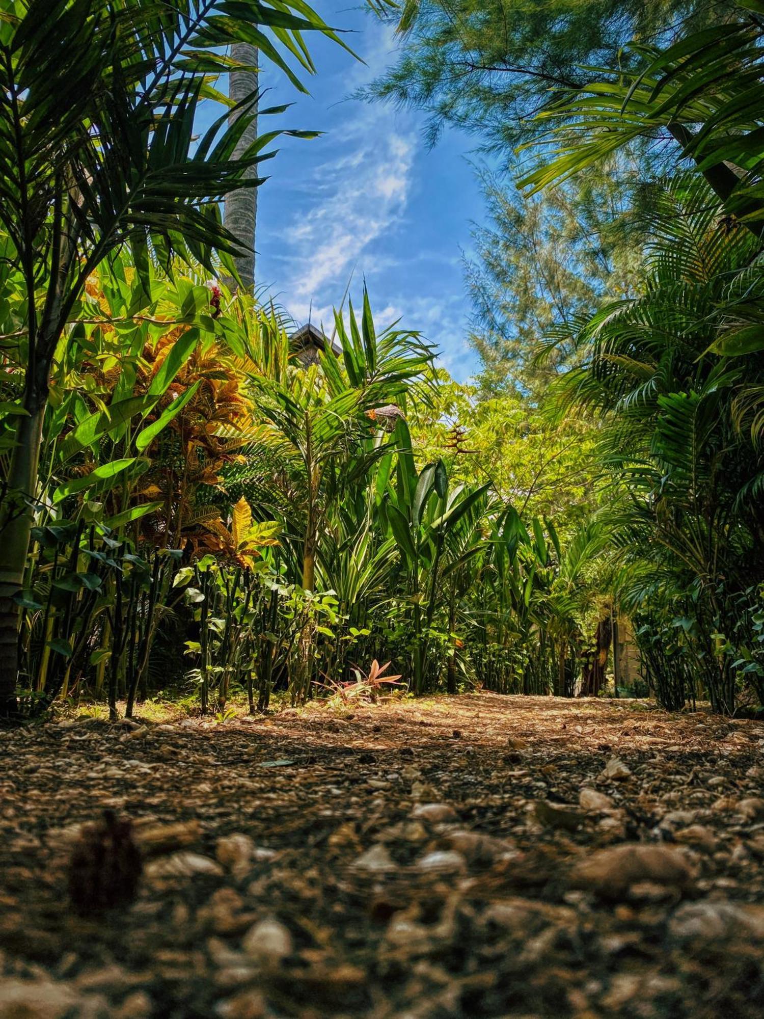 Basa-Basi Lodge Karimunjawa Dış mekan fotoğraf